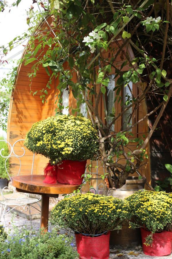 Little Dalat Coffee And Homestay Кантхо Екстер'єр фото